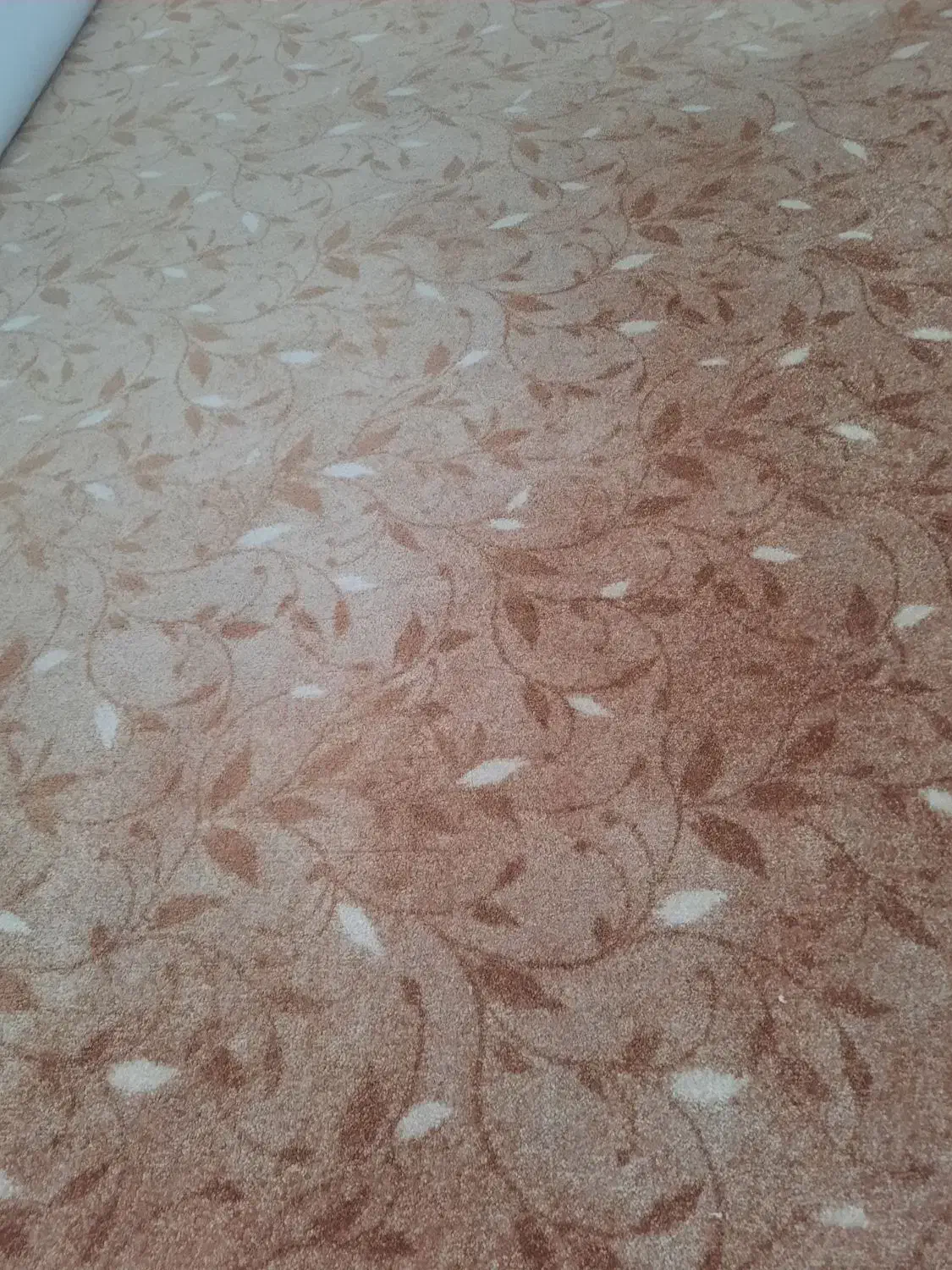 آگهی فروش|موکت|یاسوج, |دیوار