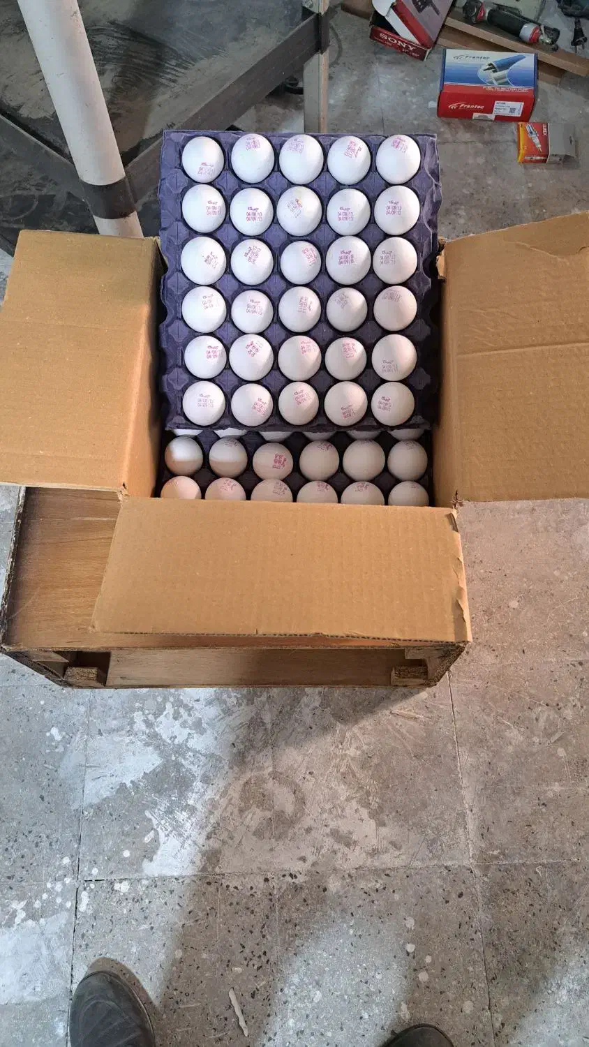 تخم مرغ|خوردنی و آشامیدنی|تهران, انبار نفت|دیوار