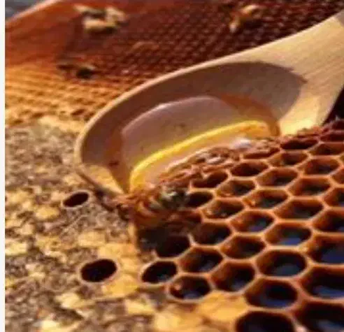 عسل افتخاری|عمده‌فروشی|ری, فیروزآبادی|دیوار