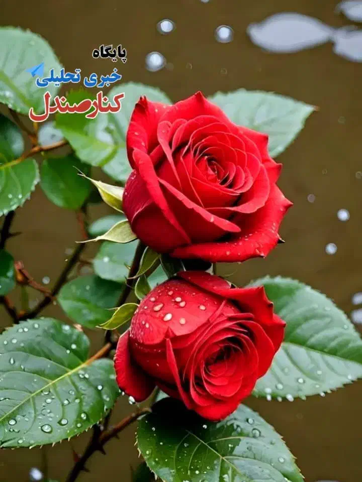 آپارتمان شخصی همکف|فروش آپارتمان|جیرفت, |دیوار