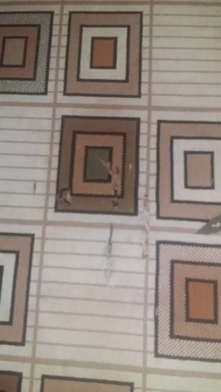 گلیم ۶ متری|گلیم، جاجیم، گبه|کرمانشاه, |دیوار