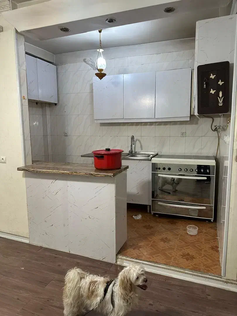 رهن و اجاره|اجارهٔ خانه و ویلا|تهران, یاخجی آباد|دیوار