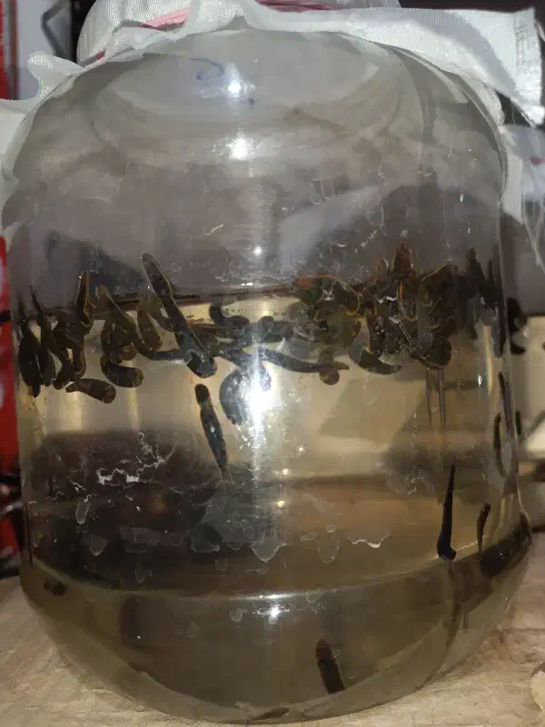 آموزش پرورش زالو|خدمات آموزشی|تبریز, |دیوار