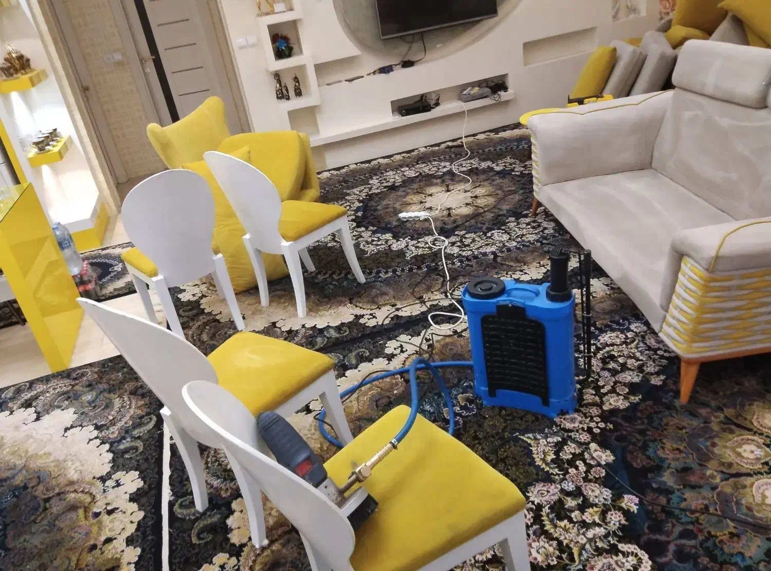 مبل شویی .قالیشویی یاقوت درمنزل|خدمات نظافت|تبریز, |دیوار