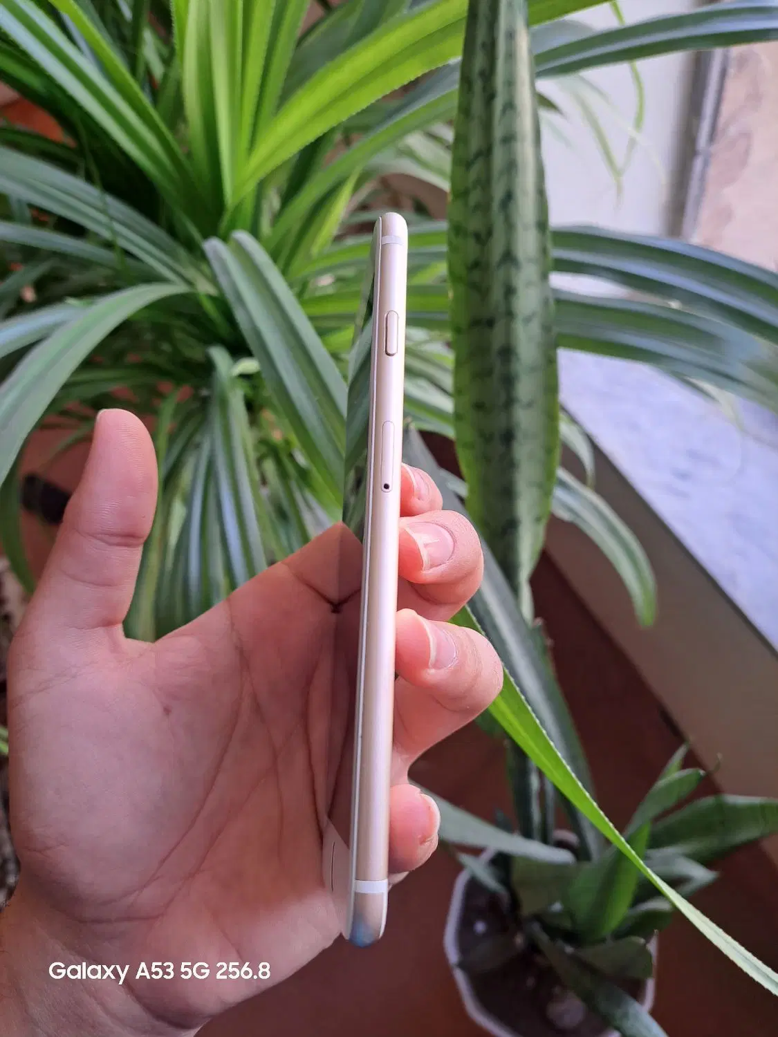ایفون 6s+|موبایل|سرپل ذهاب, |دیوار