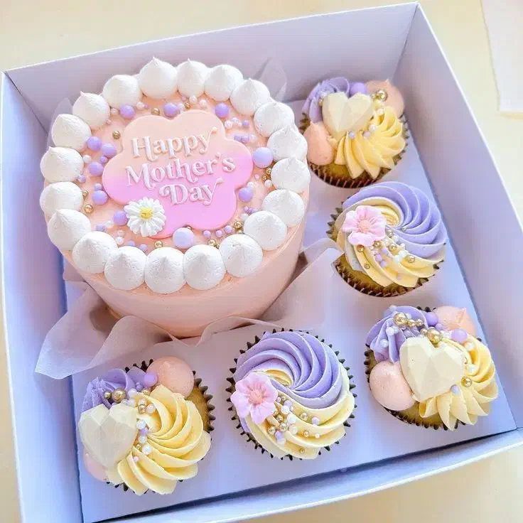 کیک رژیمی و کم کالری|خدمات پذیرایی، مراسم|لاهیجان, گلستان|دیوار