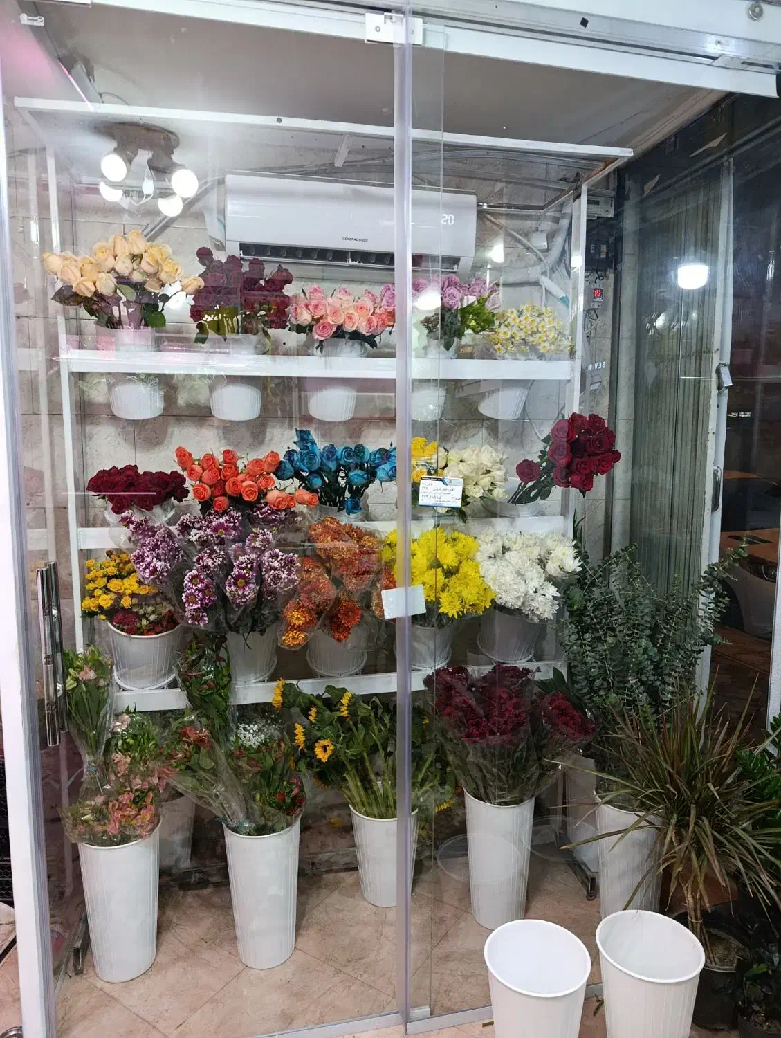 گل طبیعی|گل و گیاه طبیعی|قزوین, |دیوار