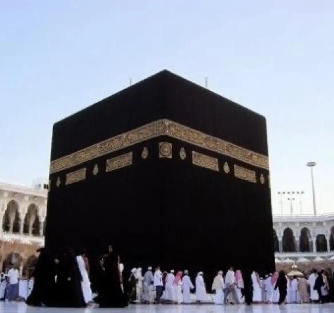 فروش فیش حج تمتع- گلستان|تور و چارتر|گنبد کاووس, |دیوار