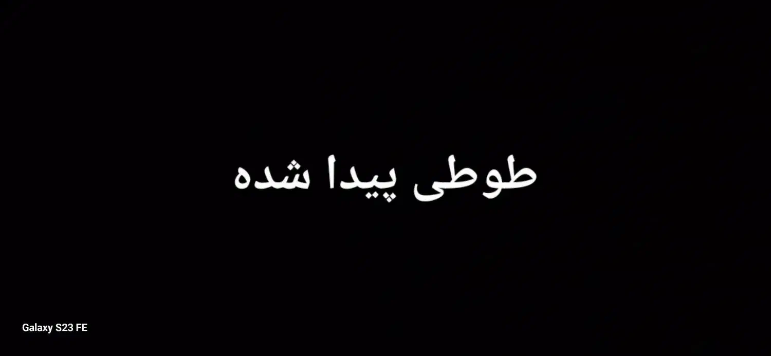 طوطی پیدا جهت پیگیری پیام پدید|حیوانات|سرعین, |دیوار
