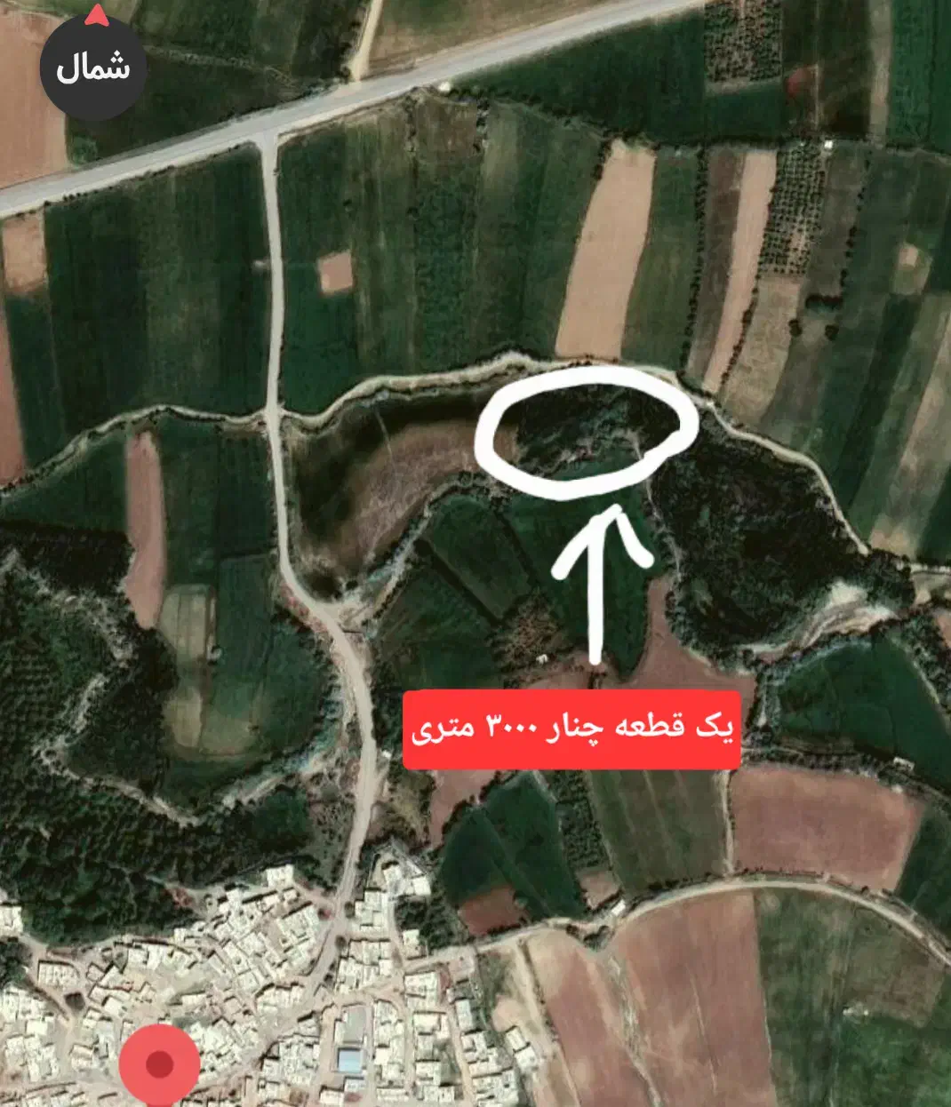 فروش زمین کشاورزی دیمی و آبی|فروش دفتر صنعتی، کشاورزی، تجاری|موچش, |دیوار