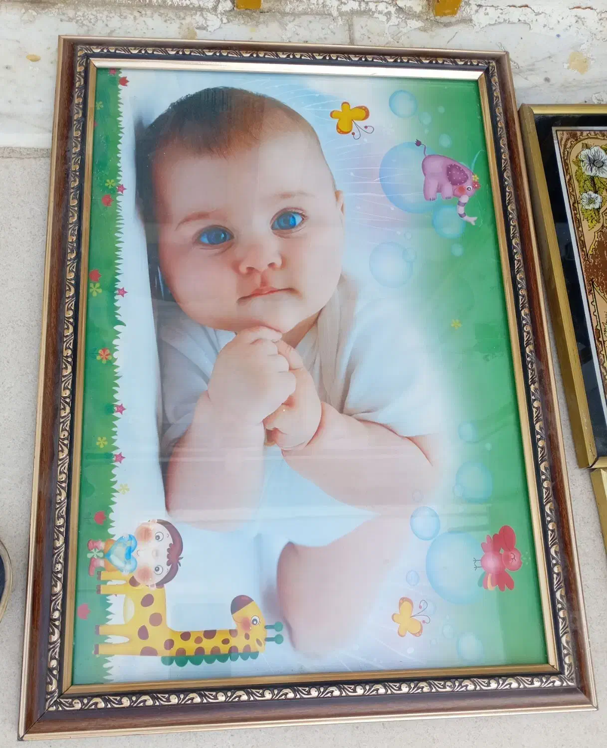 تابلو|تابلو، نقاشی، عکس|تربت‌حیدریه, رضاشهر|دیوار