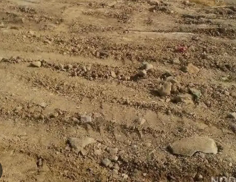 زمین آزادگان|فروش زمین و ملک کلنگی|برازجان, |دیوار