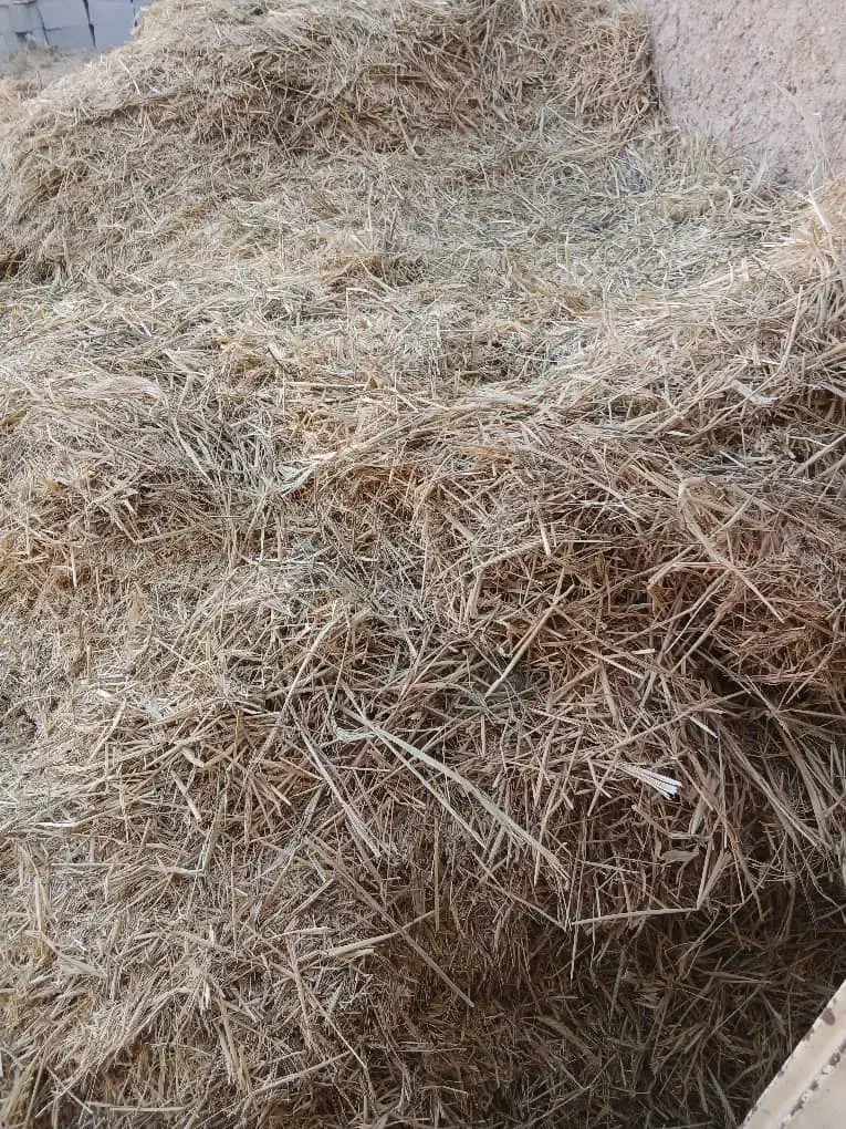 کاه|لوازم جانبی حیوانات|مرودشت, محمد آباد|دیوار