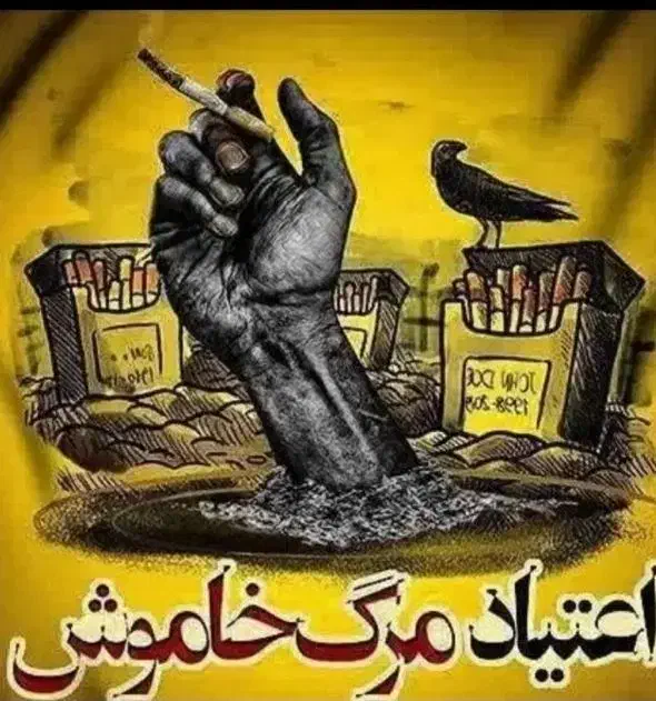 رها شو (زندگی جدیدورها)|فعالیت داوطلبانه|اردبیل, |دیوار