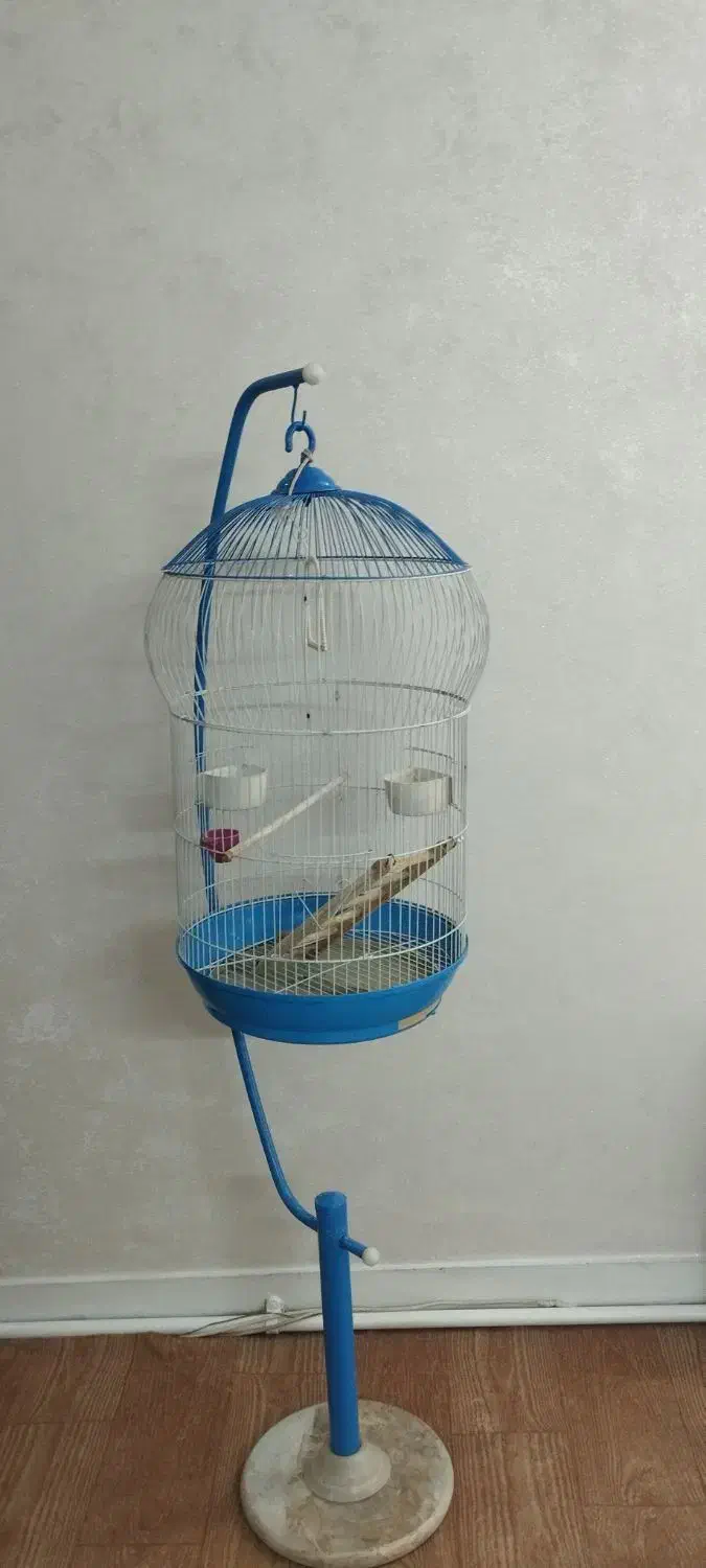 قفس اویز عروس هلندی|لوازم جانبی حیوانات|ری, منصوریه منگل|دیوار