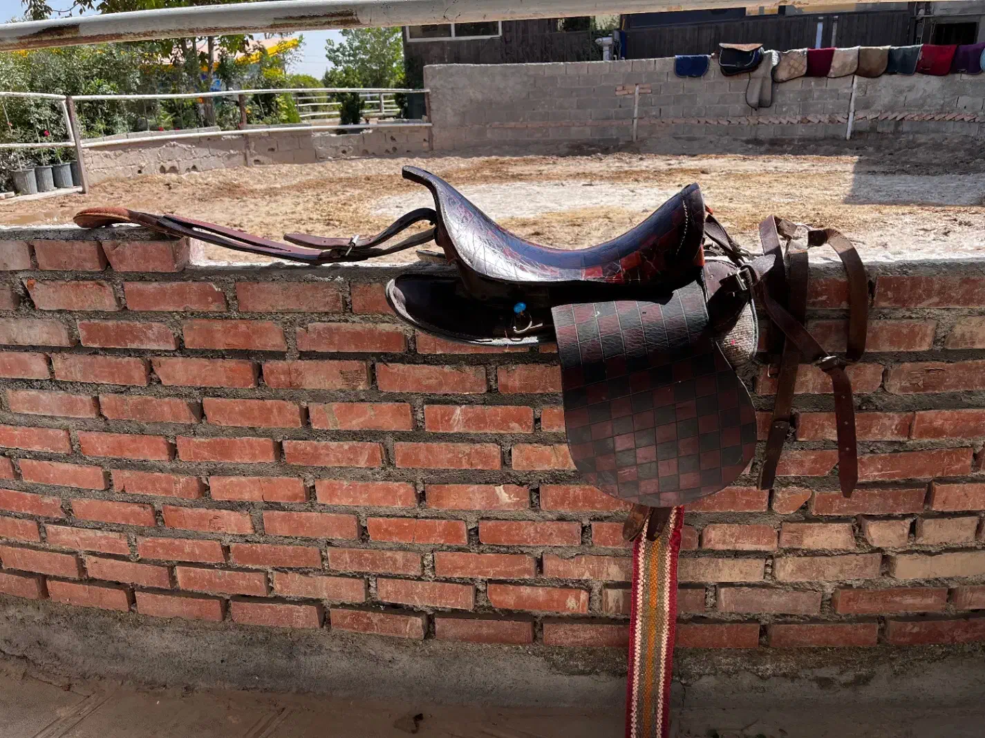 زین  نو و زیبا|اسب و تجهیزات اسب‌سواری|شهریار, اسکمان|دیوار