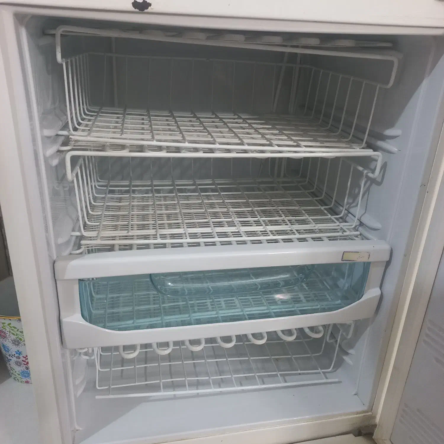 یخچال فریزرسلن|یخچال و فریزر|مشهد, شهرک لشکر (شهرک غرب)|دیوار