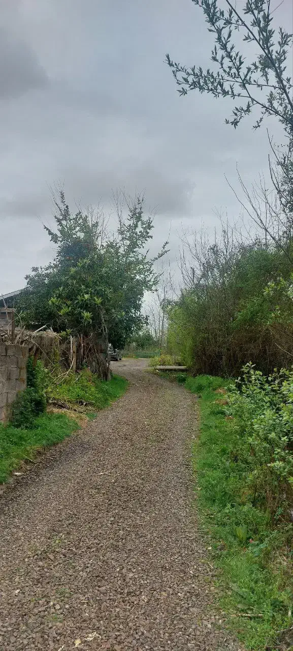 زمین مسکونی|فروش زمین و ملک کلنگی|رشت, بازار|دیوار