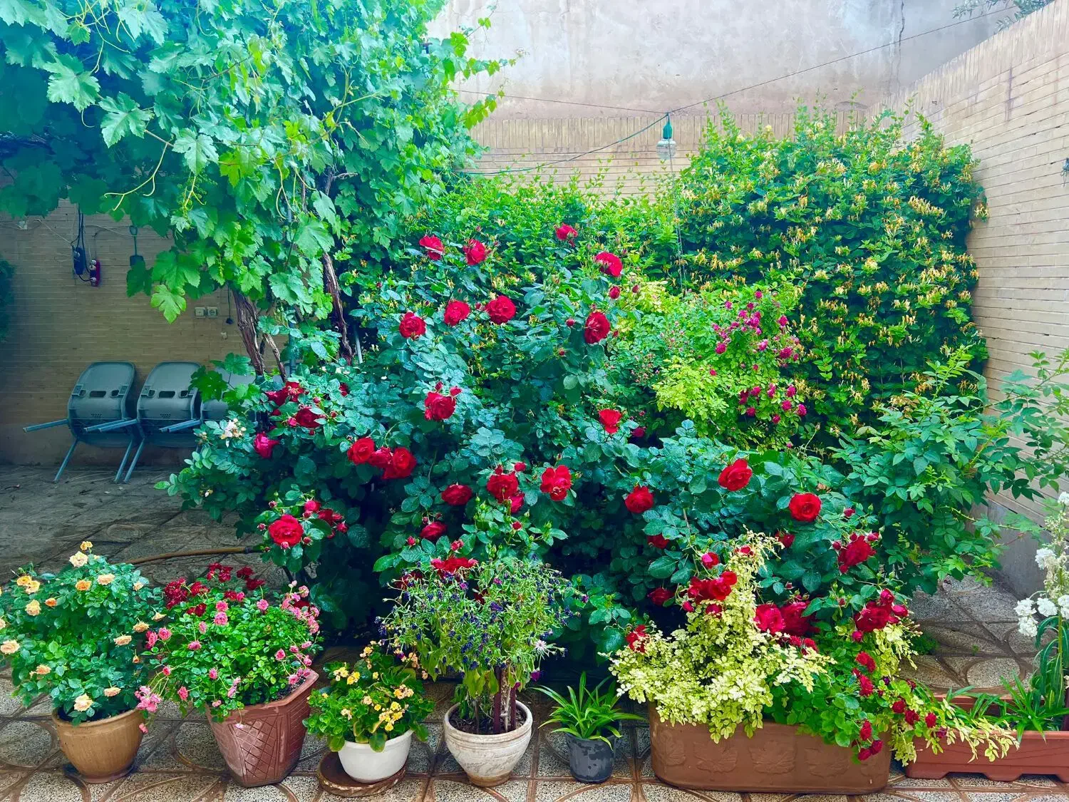 خانه دو طبقه شیک در خیابان ابوذر گلدیس|فروش خانه و ویلا|شاهین‌شهر, شهرک گلدیس|دیوار