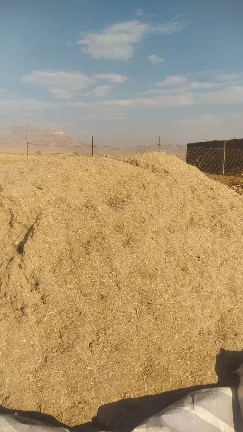 فروش کاه نیشکر|لوازم جانبی حیوانات|کوهدشت, |دیوار