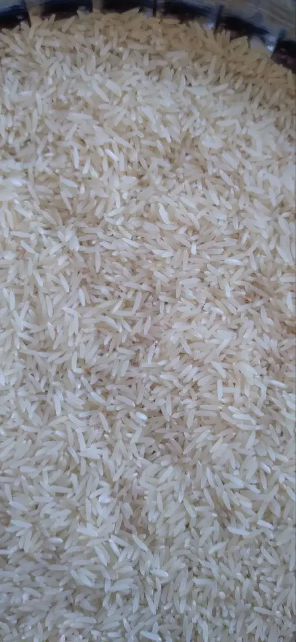 فروش برنج فجر آبیاری شده با آب چشمه|خوردنی و آشامیدنی|نوده خاندوز, |دیوار