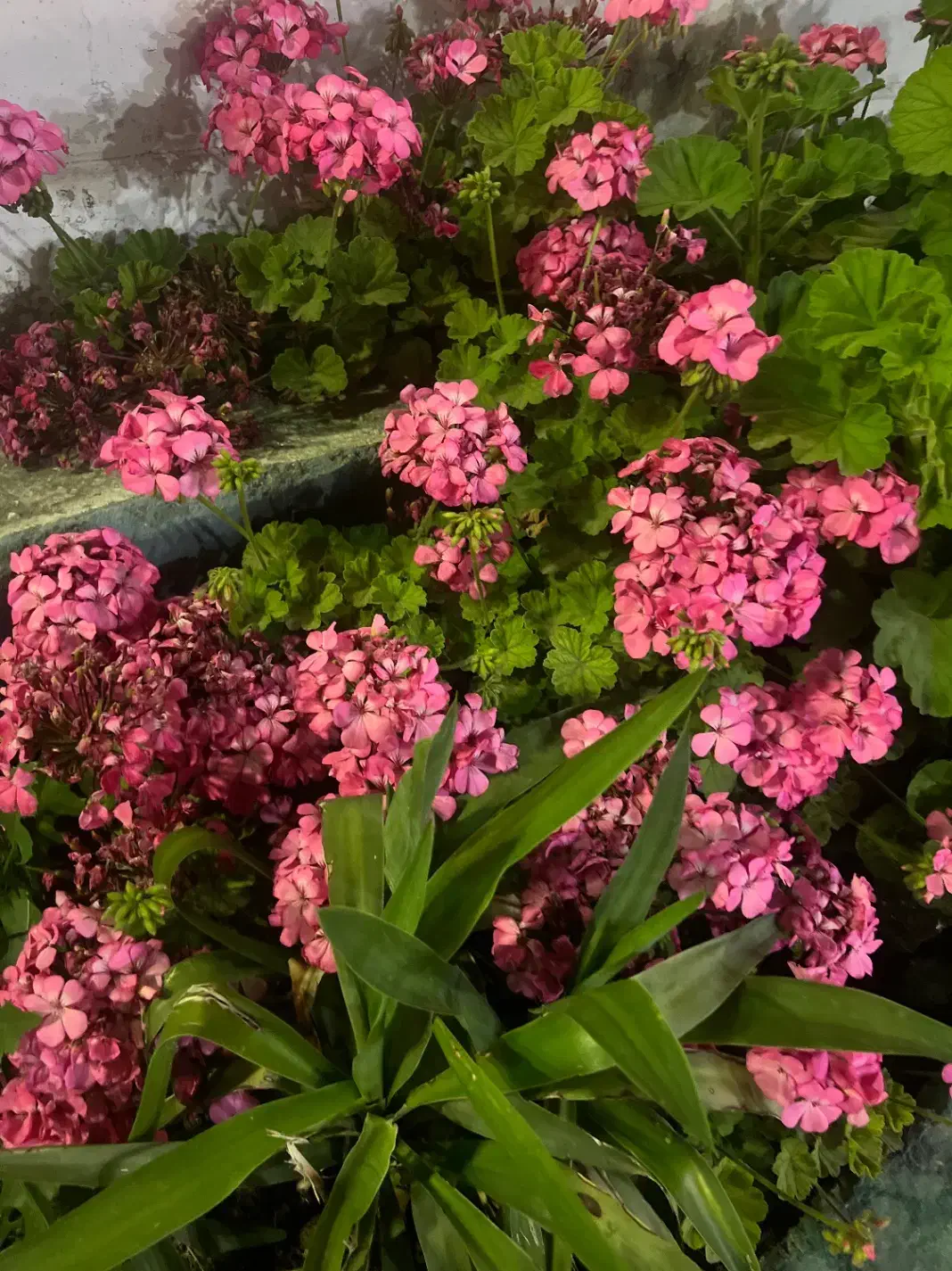 نیروی کار زن وشوهر|استخدام سرایداری و نظافت|رودبار, |دیوار