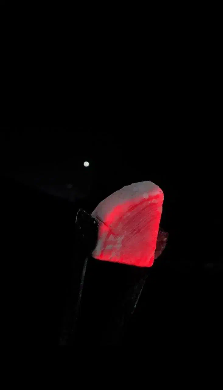 ذغال قلیانی|کلکسیون و سرگرمی|قائمشهر, |دیوار