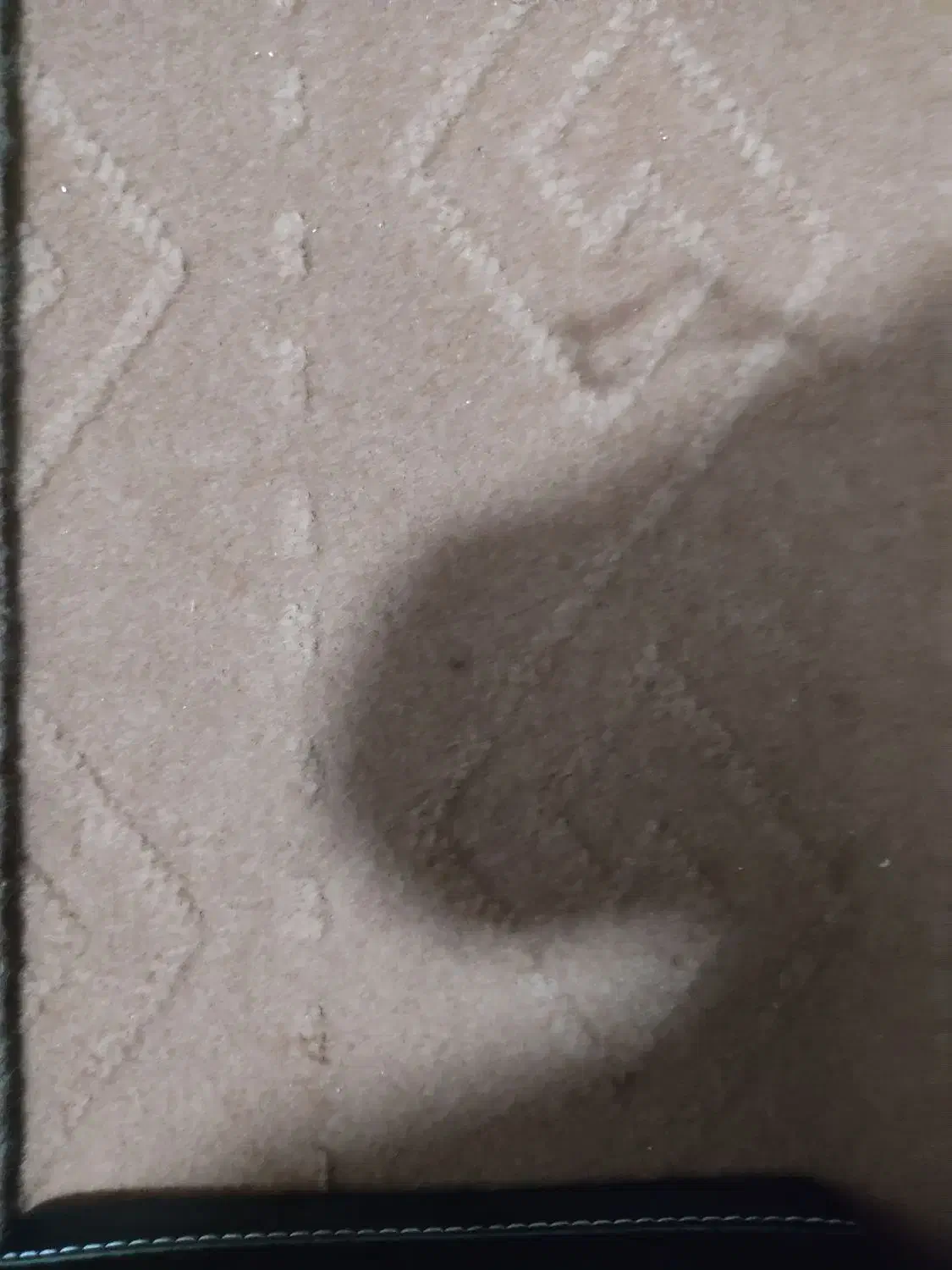 موکت|موکت|شاهرود, |دیوار