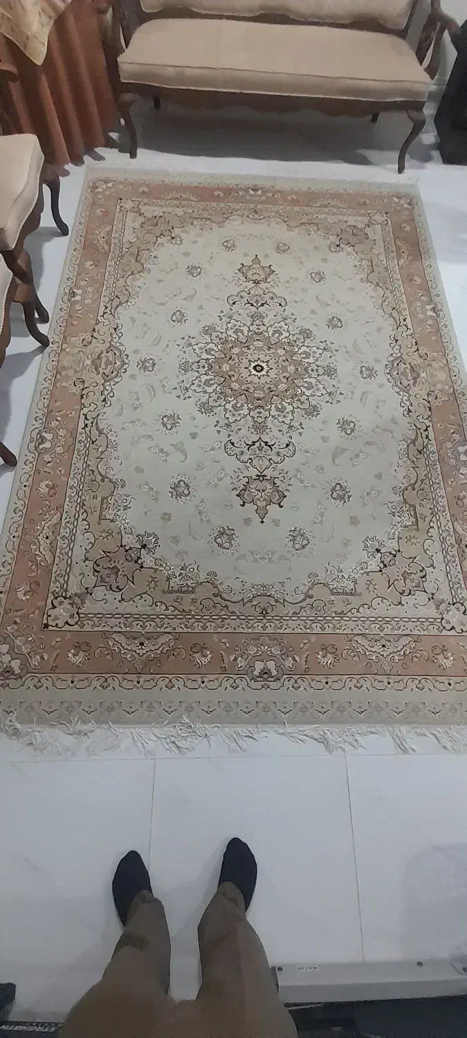 فرش پاتریس|فرش|ارومیه, |دیوار