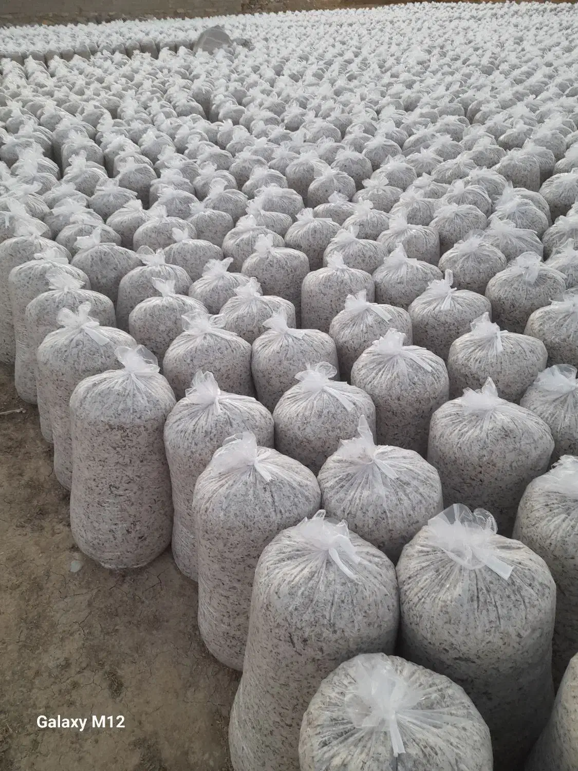 فروش تفاله چغندر وسیب وعلوفه|حیوانات مزرعه|چهاربرج, |دیوار