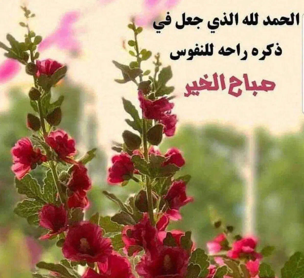 خط رند|سیم‌کارت|شادگان, |دیوار