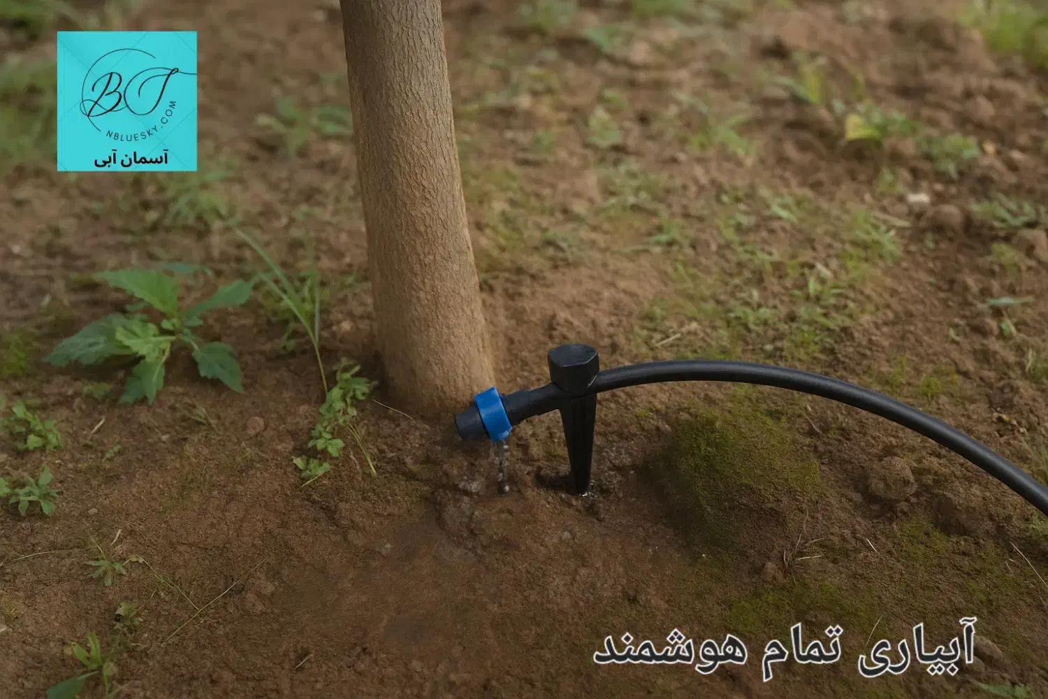 آبیاری قطره ای اتوماتیک|خدمات باغبانی و درختکاری|رشت, فرودگاه سردار جنگل رشت|دیوار