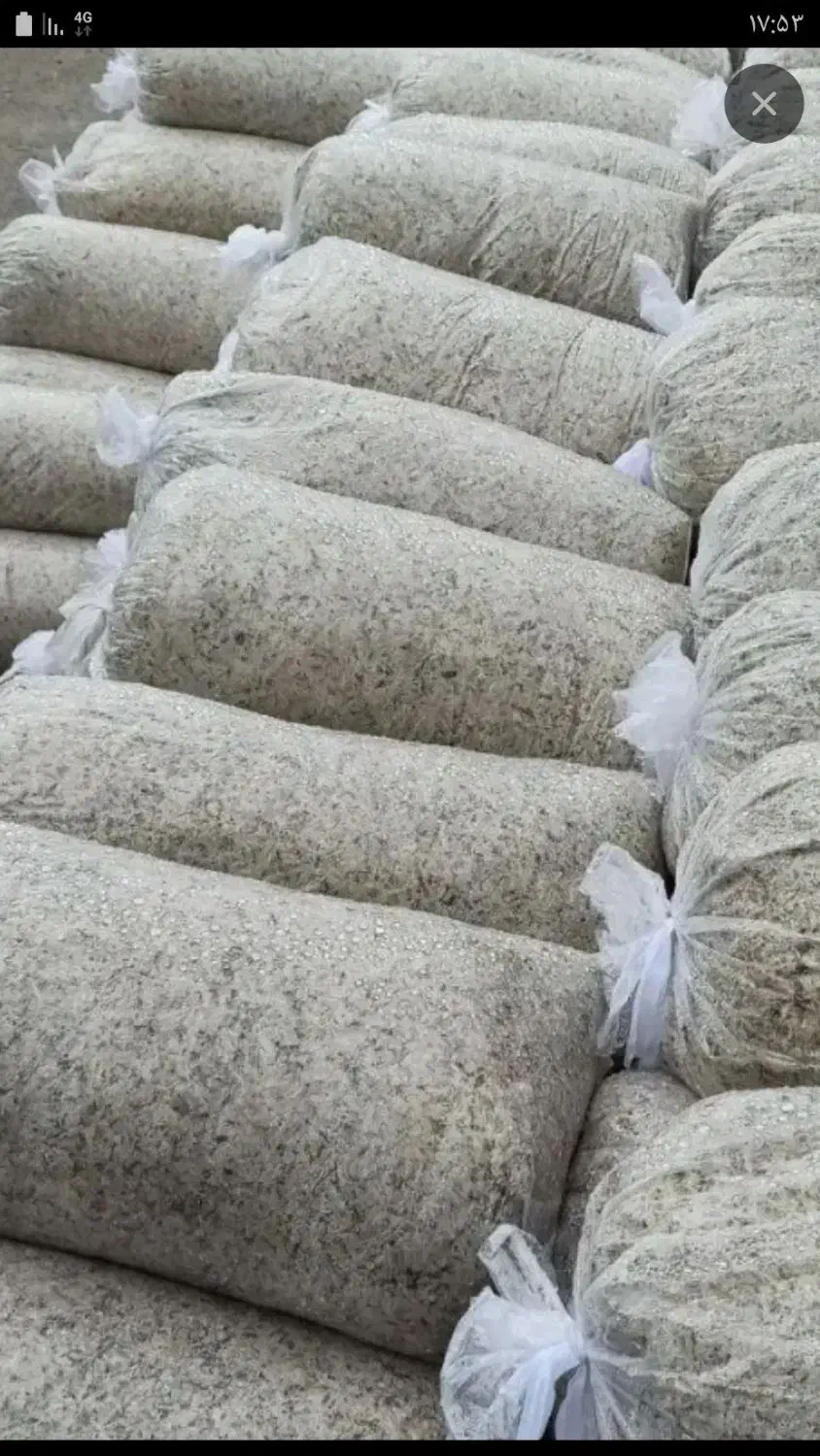 تفاله چغندر بسته بندی|عمدهفروشی|آق قلا, |دیوار