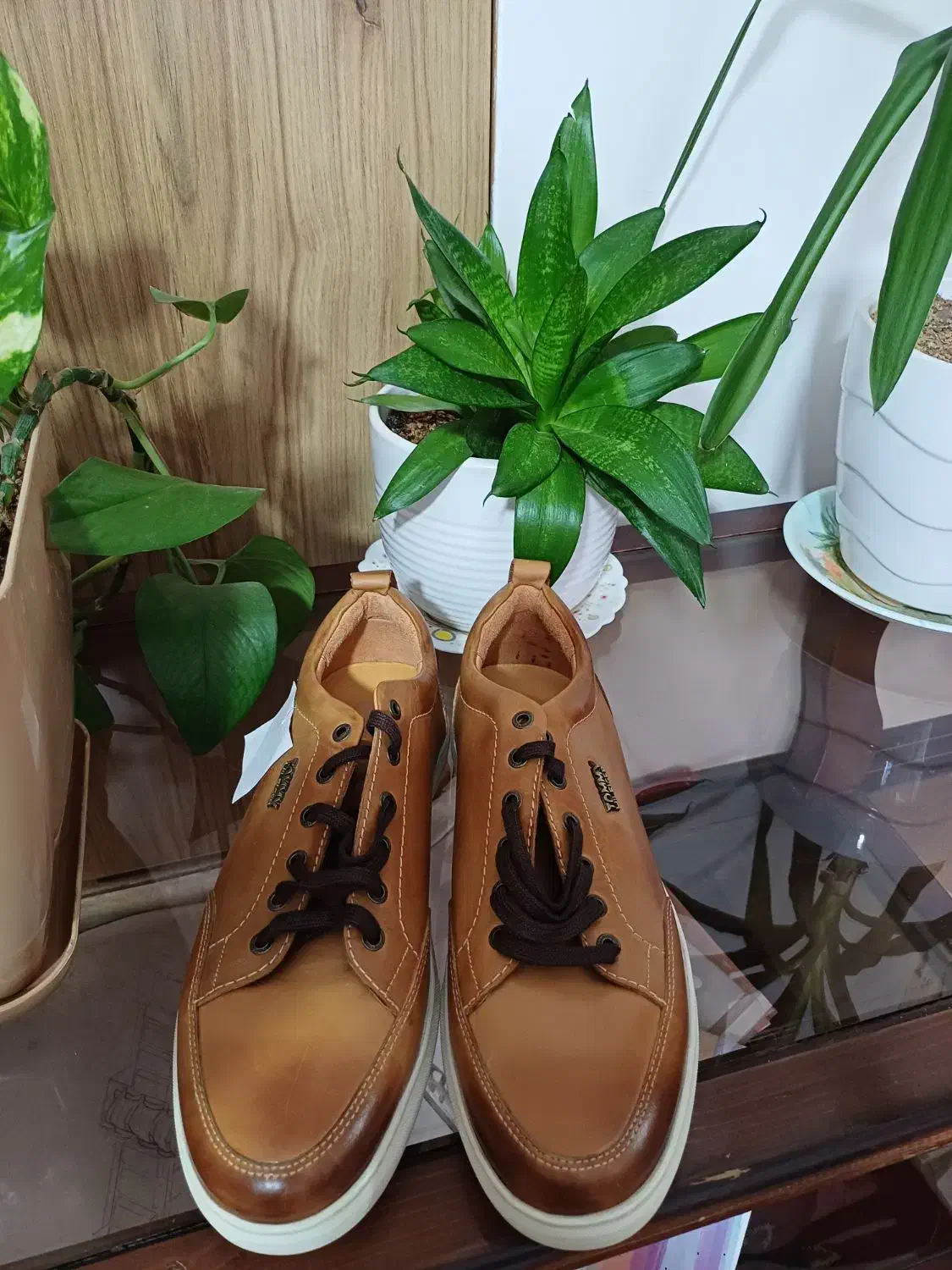 کفش نو|کیف، کفش، کمربند|کرمان, |دیوار