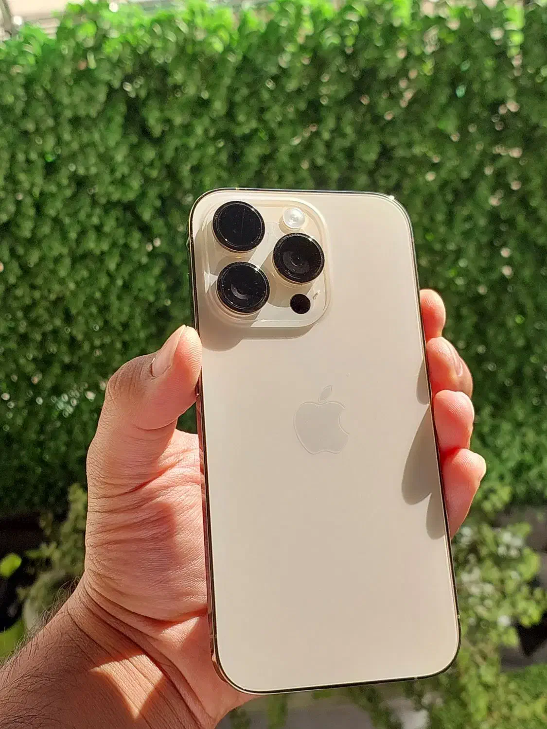 Iphone 14 pro 256 series m آیفون ۱۴ پرو ۲۵۶ اصلی|موبایل|اصفهان, نقش جهان|دیوار