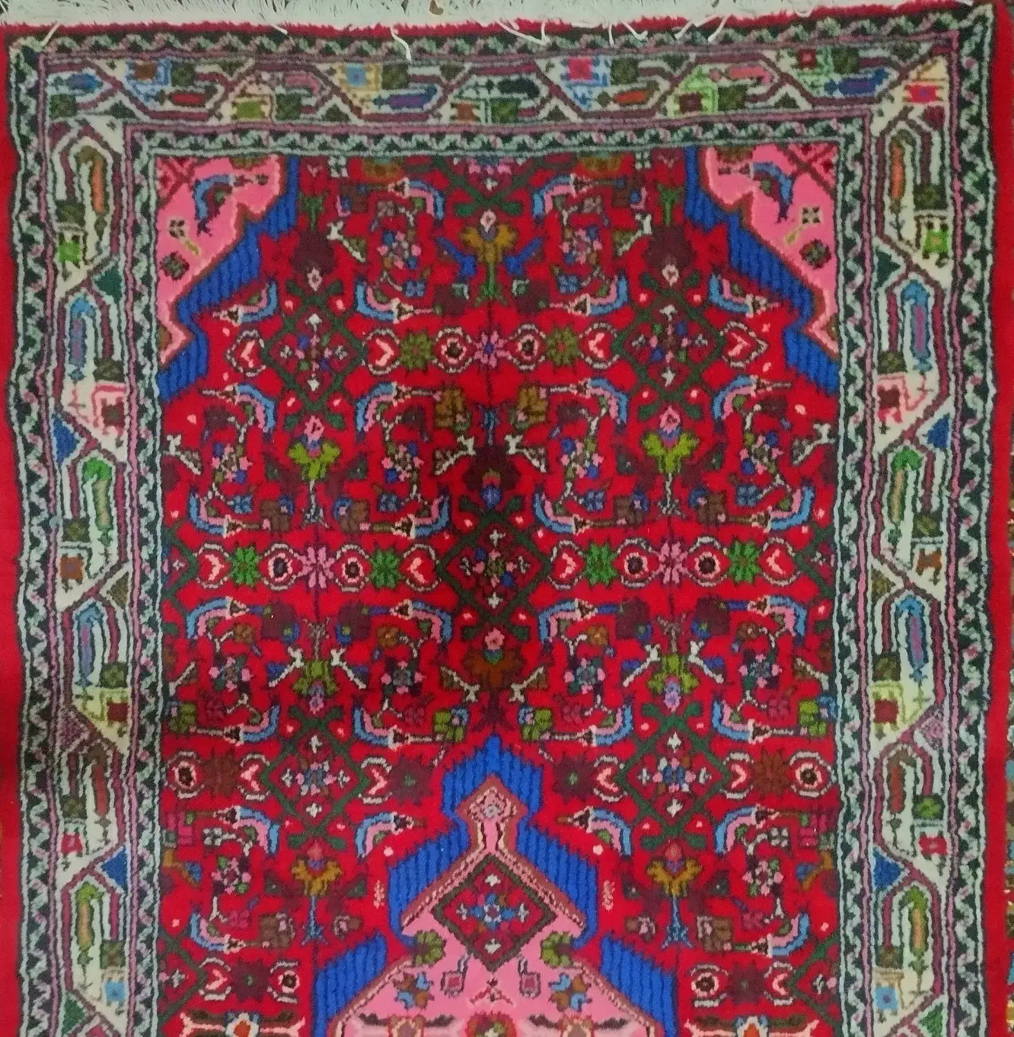 قالی بیجار دست باف|فرش|همدان, |دیوار
