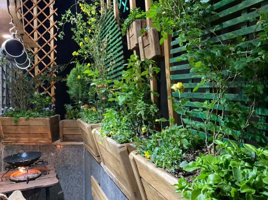 ساخت سازه چوبی|خدمات پیشه و مهارت|سنندج, |دیوار