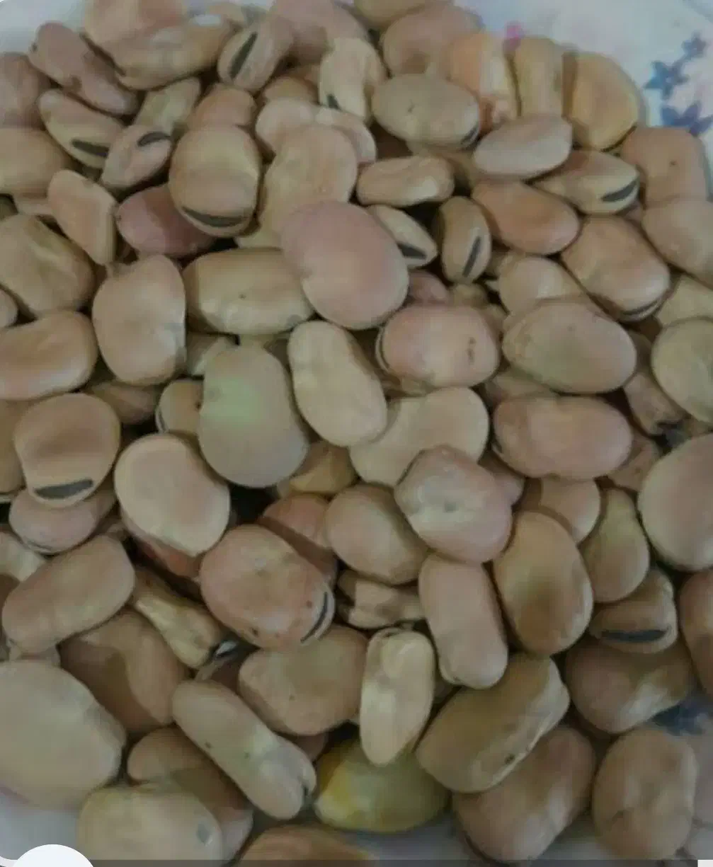 باقاله|عمدهفروشی|طارم (زنجان), |دیوار