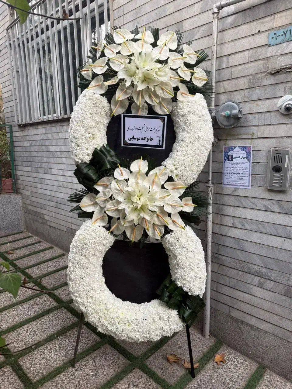 گل آرایی|گل و گیاه طبیعی|تهران, شهرک آزمایش|دیوار