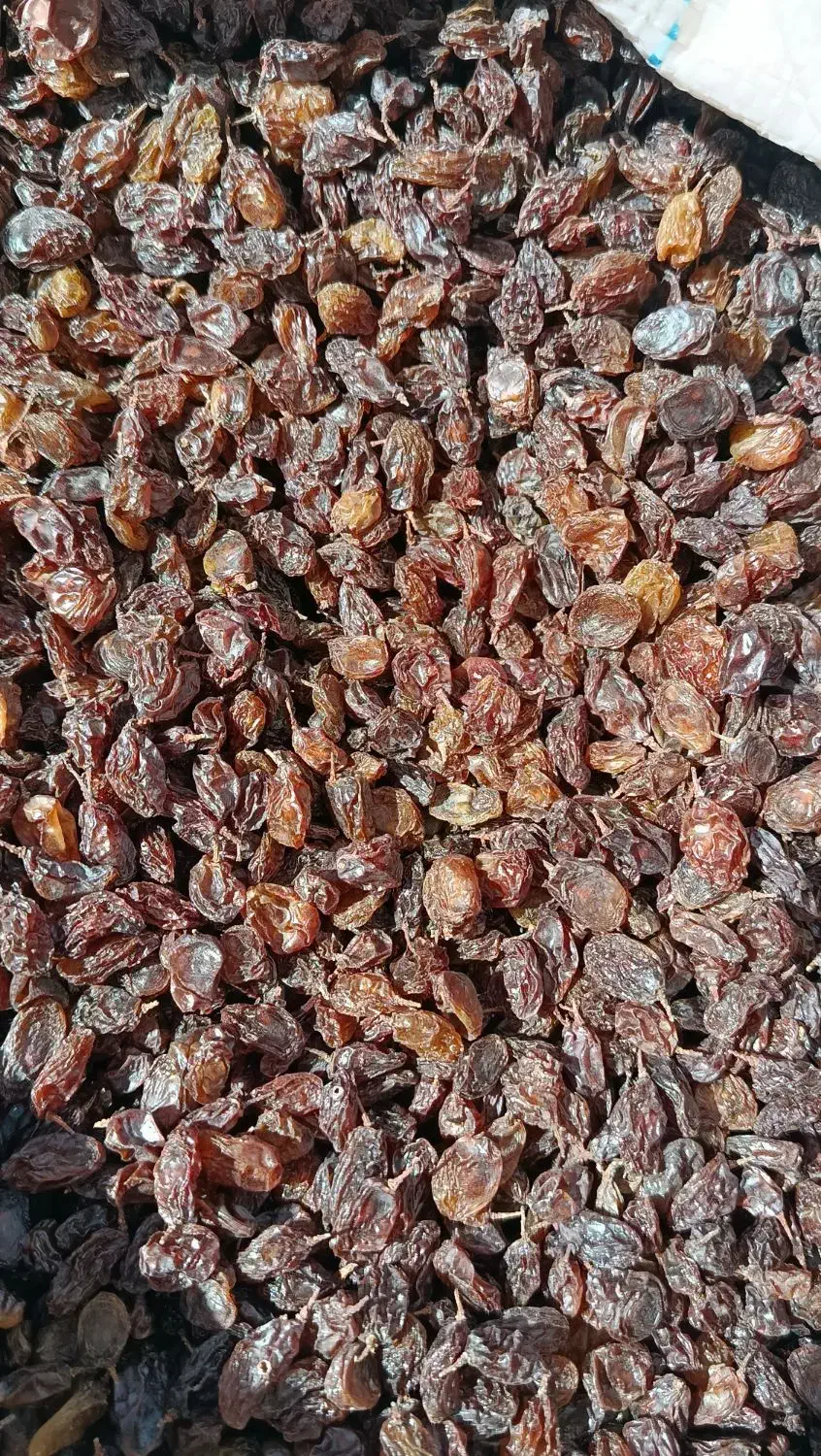کشمش طبیعی|خوردنی و آشامیدنی|کامیاران, |دیوار