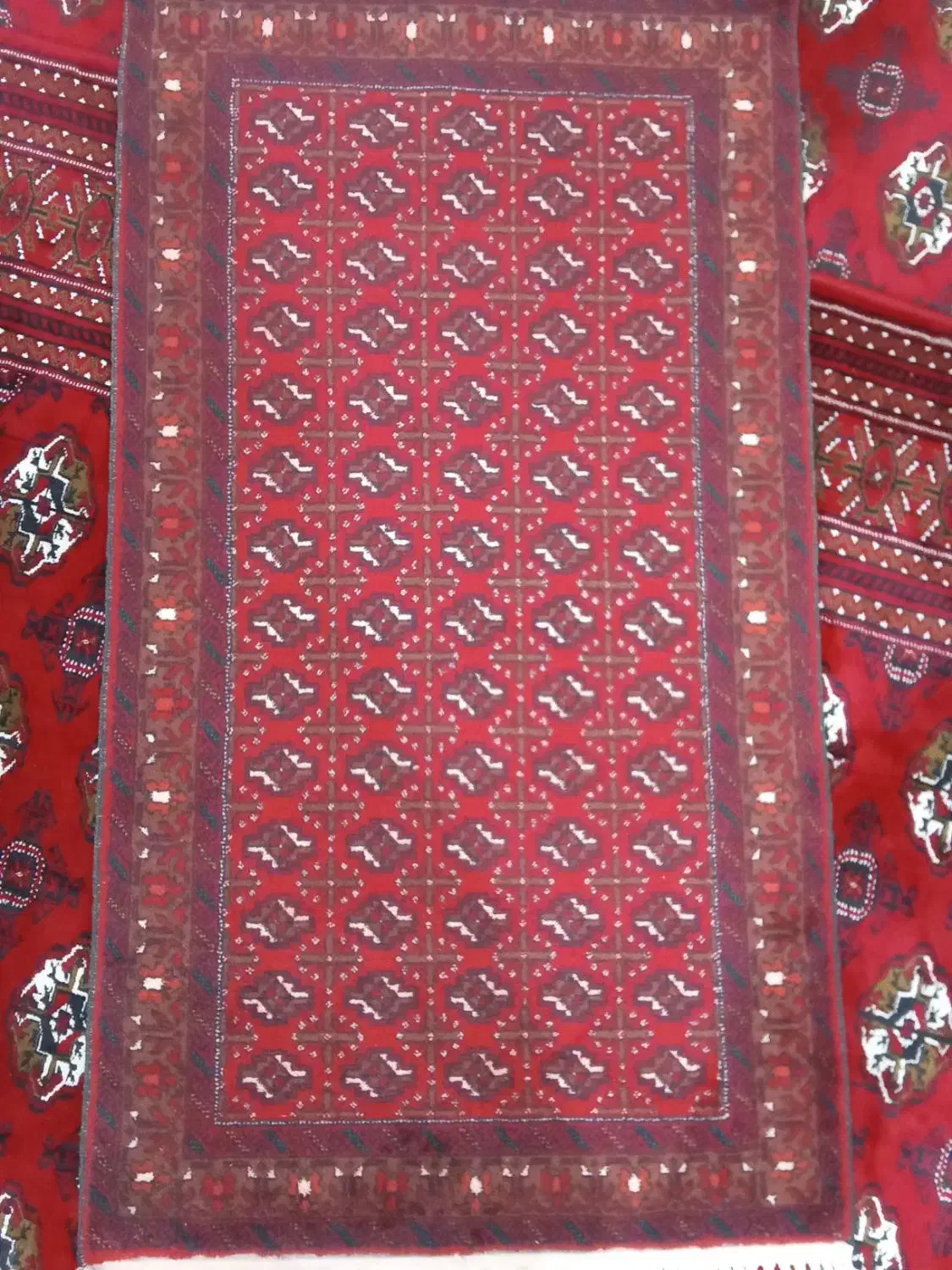 لوازم خانگی|فرش|خواف, |دیوار