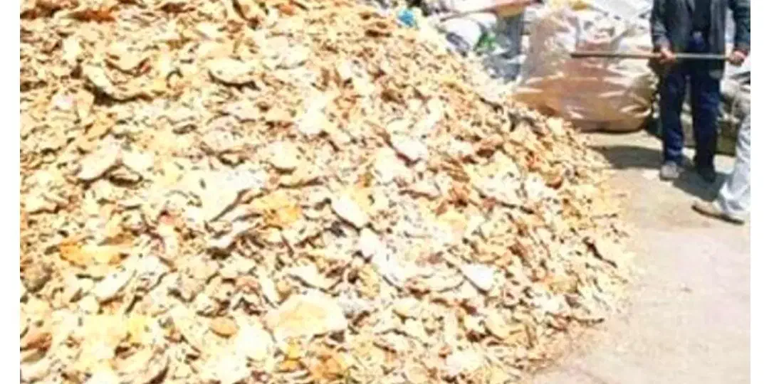 نان خشک فروش فوری|عمده‌فروشی|اشتهارد, |دیوار