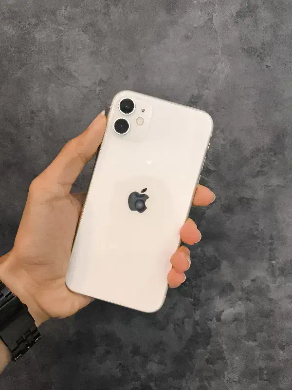 آیفون 11 نرمال|موبایل|قائم‌شهر, |دیوار