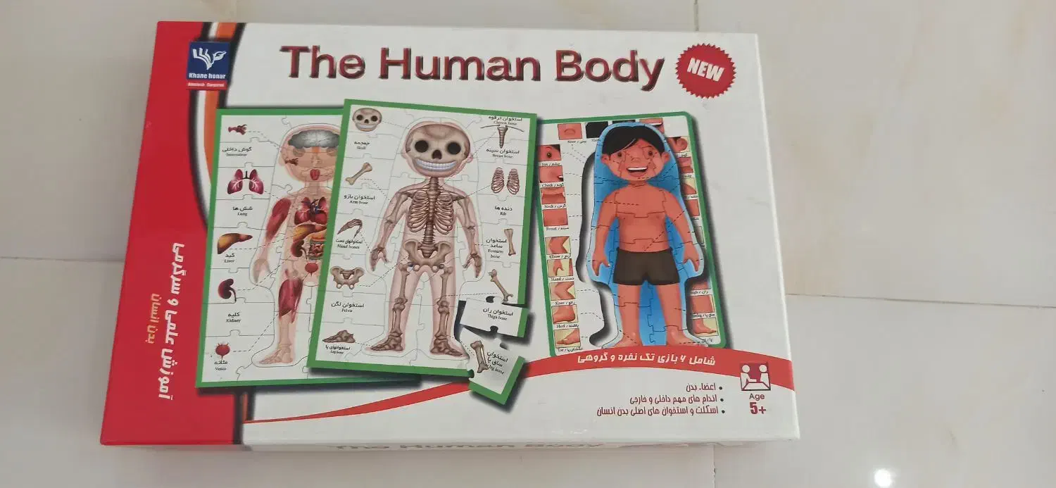 بازی فکری|اسباب‌‌بازی|مشهد, عامل|دیوار