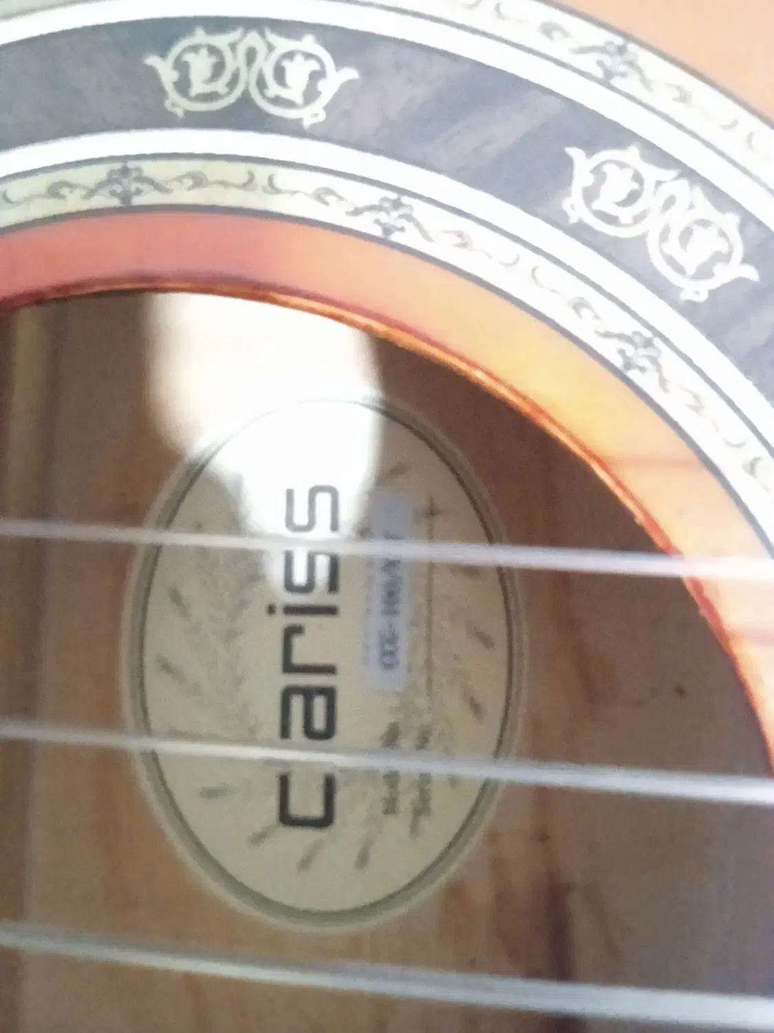 گیتار سالم|گیتار، بیس، امپلیفایر|کرج, حصارک پایین|دیوار