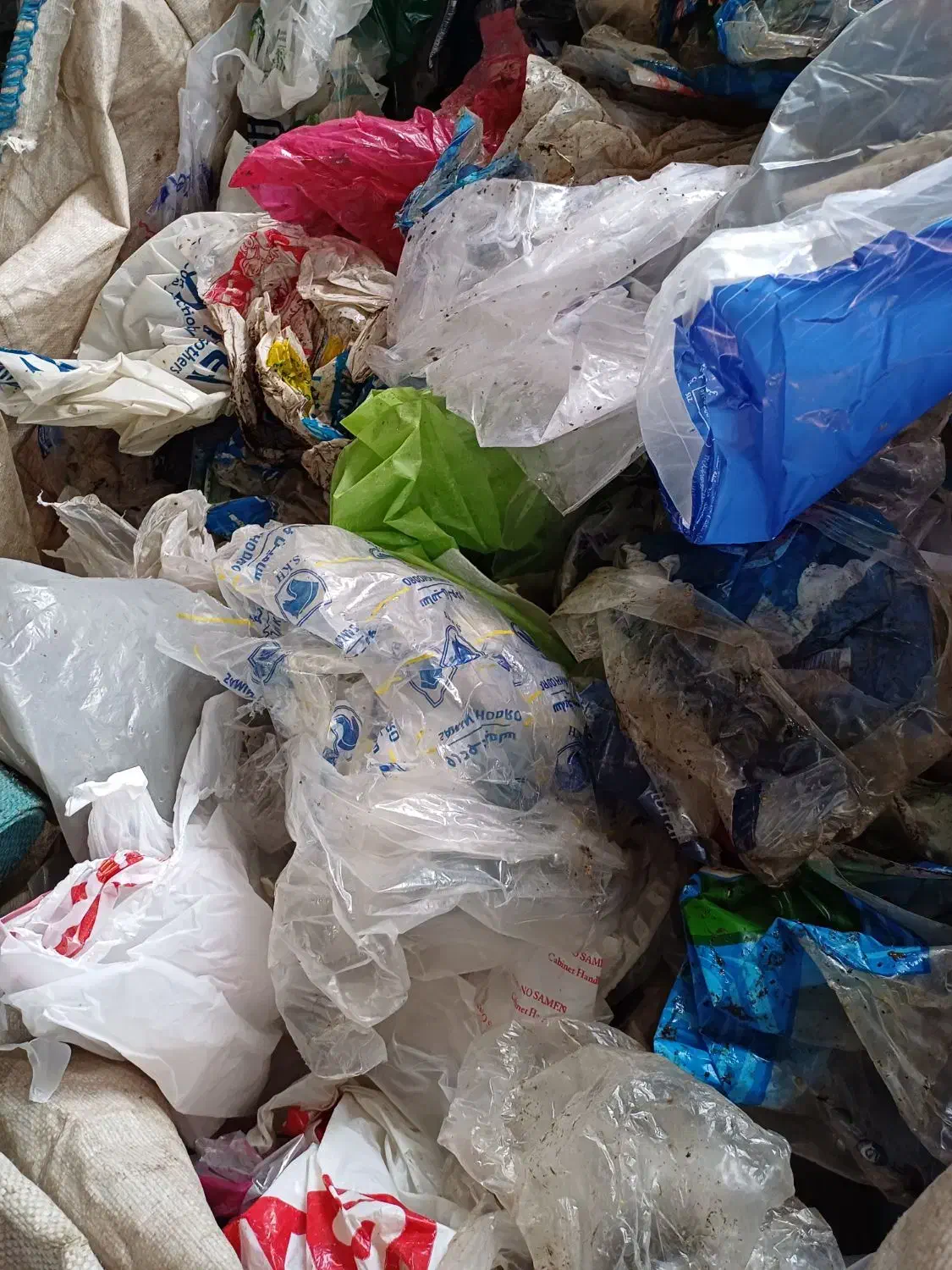 نیروخانم برای کارگاه تفکیک پلاستیک در ماسال|استخدام صنعتی، فنی، مهندسی|رضوانشهر, |دیوار