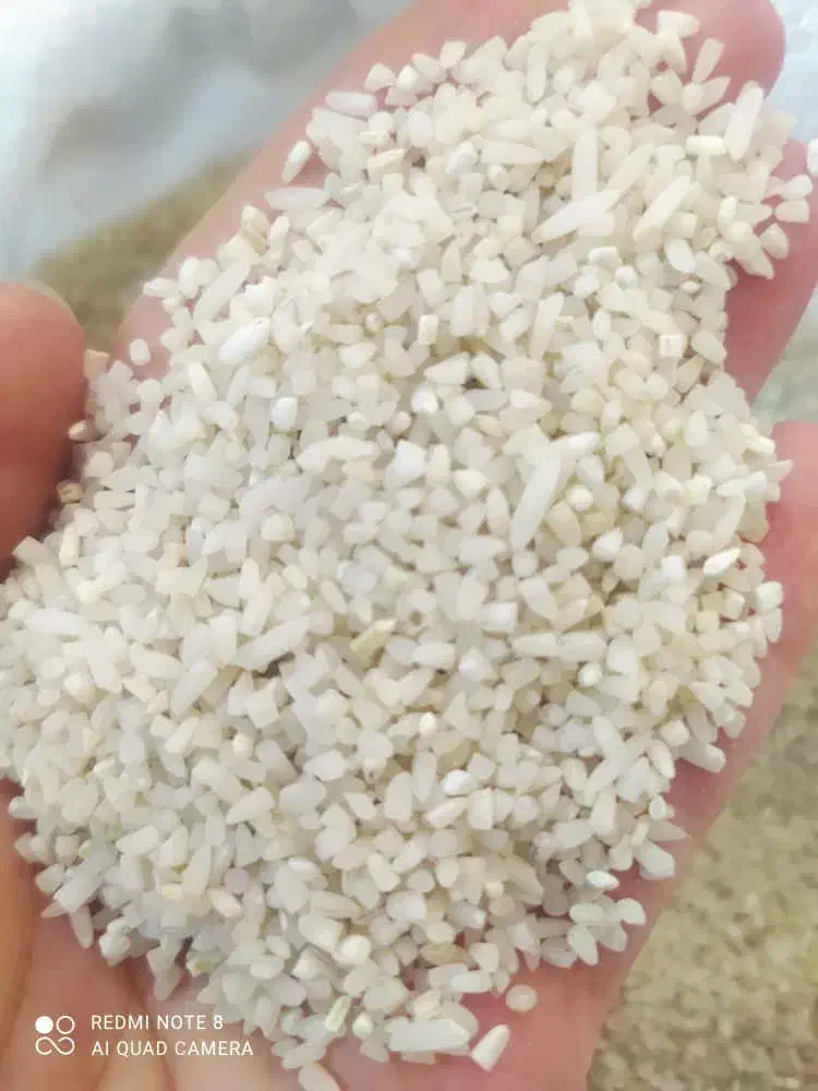 نیم دانه کشت دوم طارم هاشمی شمال|خوردنی و آشامیدنی|اصفهان, هوانیروز|دیوار