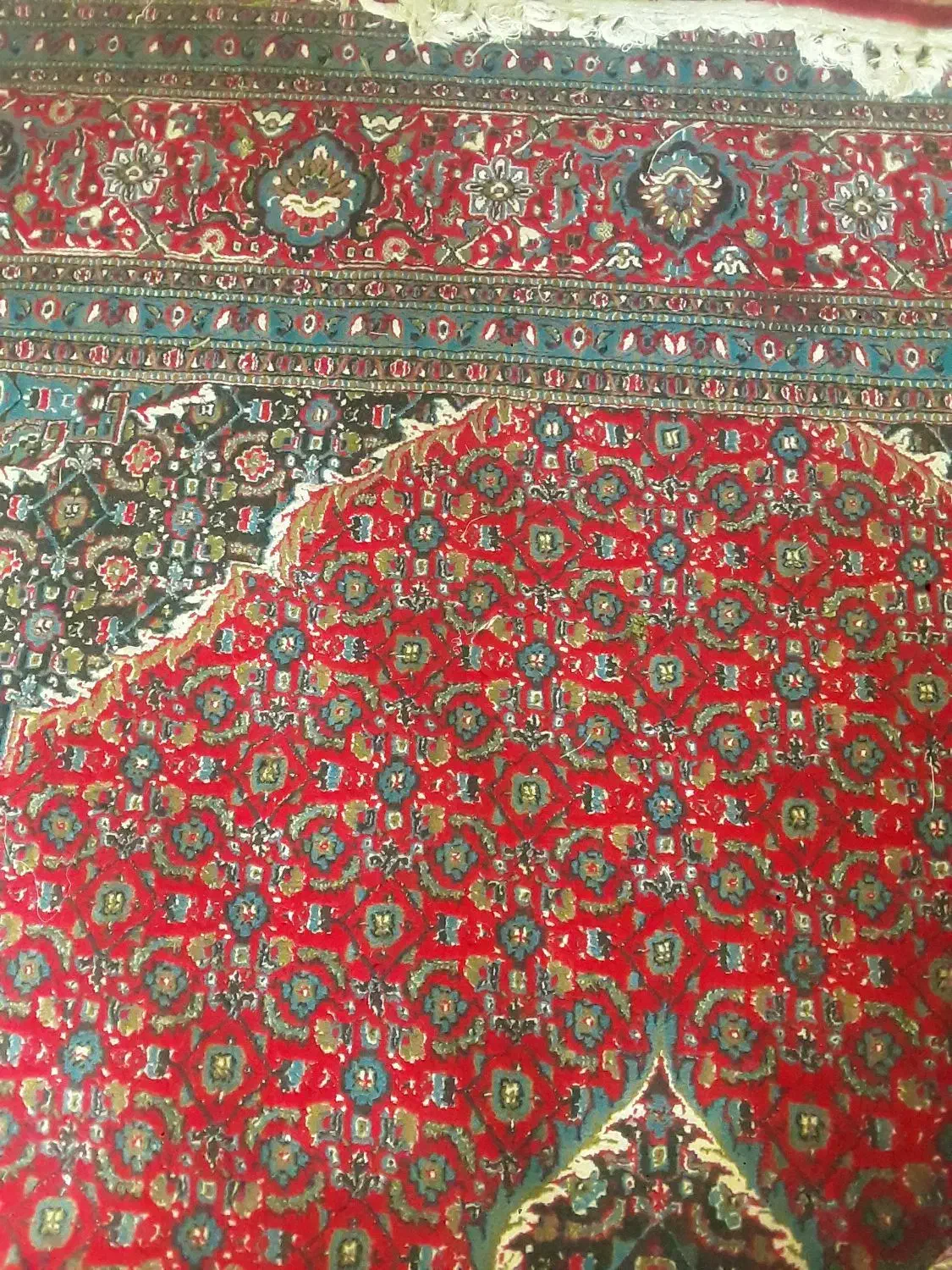 وسایل براخونه باغ|ظروف سرو و پذیرایی|زند, |دیوار