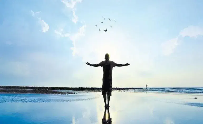 راهنمایی کنید..|فعالیت داوطلبانه|تربت‌حیدریه, مسجد جامع|دیوار