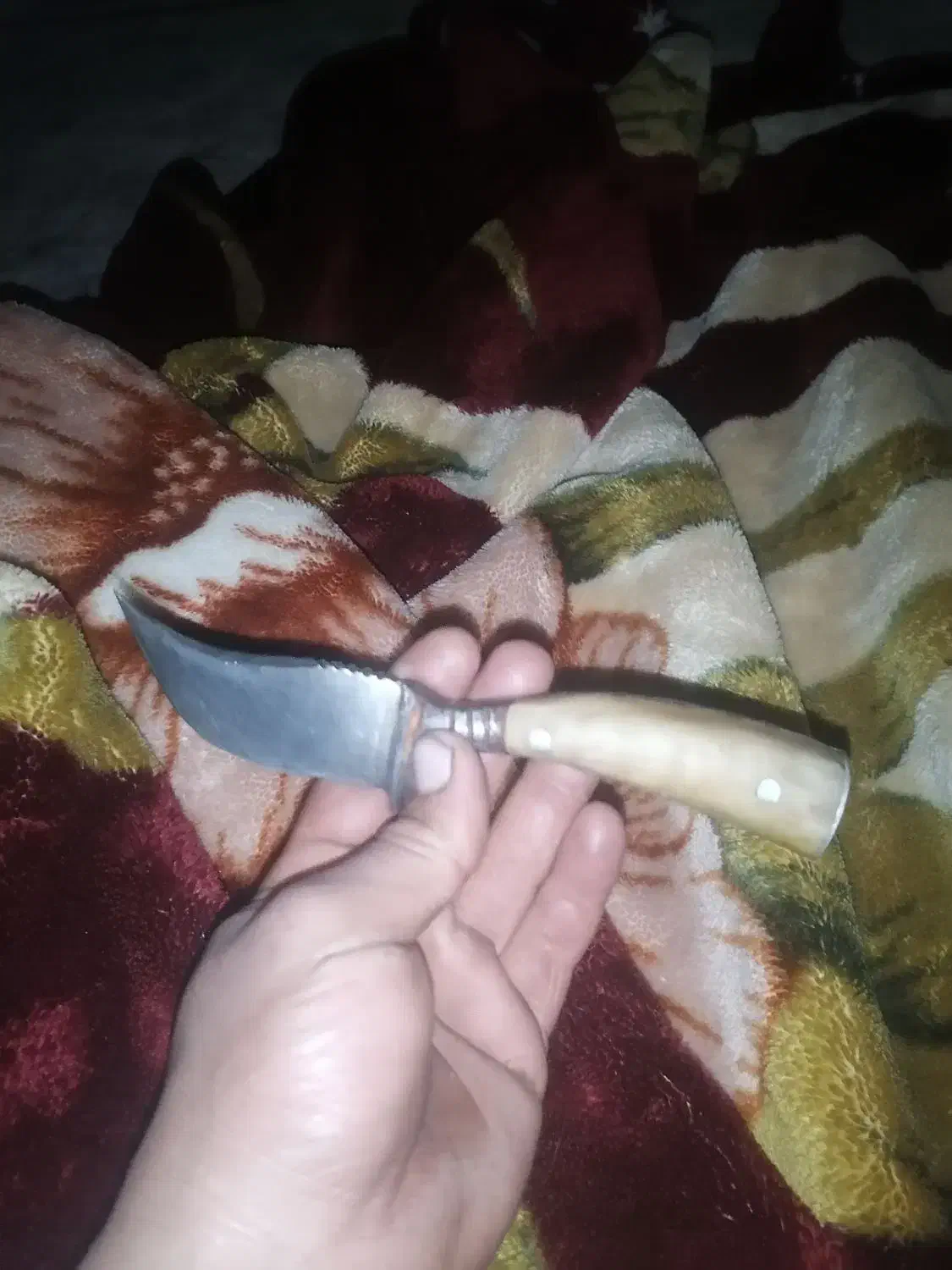 چاقو کارد|کوهنوردی و کمپینگ|کرمان, |دیوار